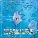 씨유제주성산중앙점 | 제주 동쪽 실내 가볼만한곳 성산 아쿠아플라넷 근처 맛집 타쿠마스시