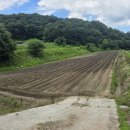 비석농장 이미지