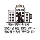 펫싸롱 이미지