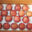 봉화산2농장 이미지