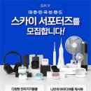 스카이(SKY) 티스토리