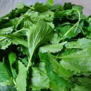 부지깽이 이미지