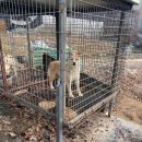 사연농장 이미지