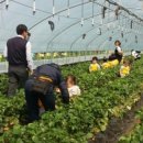 태성농장 이미지