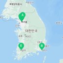 현대신촌헤지스여성