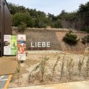 리베(LIEBE) 이미지