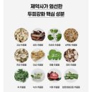 이유플러스 | 비듬과 가려움이 줄어든 이유, 진생화 헤어플러스 샴푸 솔직 사용 후기