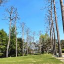 솔모로골프장 이미지