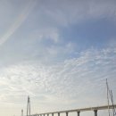 선두전력기술단 - 보은군 삼산남로 26-11 | 선두전력기술단