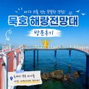 해랑전망대 | 묵호 해랑전망대 방문 후기 총정리: 동해 바다 위를 걷는 듯한 짜릿함부터 주차 및 묵호등대 연계 가볼...