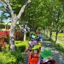 네이쳐 위클리 이미지