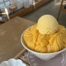 아지야과일가게(포항양덕점) | 포항 망고빙수 '카페티타' | 양덕 빙수 맛집, 내돈내산 후기