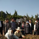 장군농장 이미지