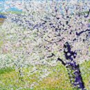 유디치과병원 이미지