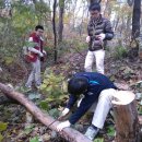 대성고등학교 이미지