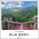 거창 항노화힐링랜드 Y자 출렁다리 하늘구비길 계단 우두산 후기