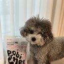 바비덴탈 이미지