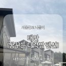 꿈꾸는다락방 | ♥ 태안 애견동반 신상 펜션 리뷰ㅣ내돈내산 꿈꾸는 다락방 스파 여행코스 솔직 후기 ♥