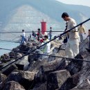 팔랑포마을 이미지