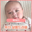 부산 아기미용실 살롱드라움에서 신생아 배냇머리 밀기(내돈내산)