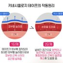 네오메디칼약국 | 생활통증완화부터 운동할 때 쓰기좋은 하루토 저자극 스포츠 테이프 키네시올로지 후기