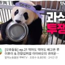 패밀리치과의원 이미지