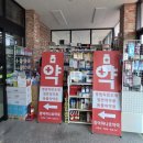 곤명농협 하나로마트 동부점 | 제주 함덕농협 하나로마트 추천! 제주 로컬푸드와 싱싱한 자리돔·생물한치 장보기