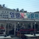 일월꽃식물원 네이버블로그