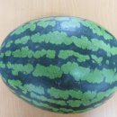 태광의료기 이미지