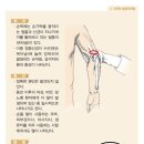 바른체형만들기 Daum카페