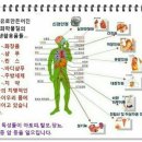 호환! 마마! 보다 무서운 경피독 넌 대체 누구냐? 이미지