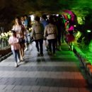 광명 꽃 수족관 이미지