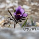 동강기획