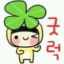 582 이미지