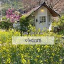 UR(김해시)-[서부로]-하-4 | 김해 계절별 꽃을 담은 브런치가 맛있는 카페 : 카페모하