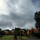 안녕감귤 제주독채펜션 이미지