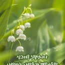 파워라인 이미지