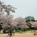 분당구청.중앙공원후문 이미지