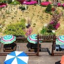 남이섬레이크 이미지