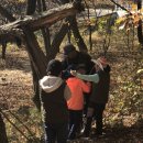 (곰솔 모둠) 아름다운 단풍이 절정인 영축산 소풍 - 12기 탐험대 놀자!! 이미지