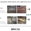 하이그레이