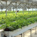 유촌초등학교병설유치원 이미지