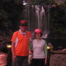 천지연폭포 이미지