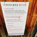 니지모리 스튜디오 위치, 식당, 할인방법 및 내돈내산후기
