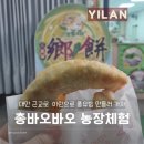 현이농장 | 대만 근교 이란여행 총유빙 만들러 가자 &lt;총바오바오 체험 농장 蔥寶寶體驗農場&gt;