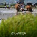 춘천 사암2리 강원도민일보
