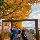 곡교천길 이미지