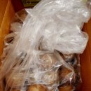 소랑다래랑 | 농라에프 나도 CREATOR - 소랑다래랑 '골드키위' 구매 후기