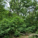 아치실마을 이미지