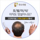 루트의원 이미지